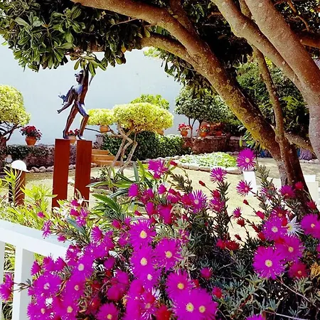 Casa Unica Con Jardin A 45 Metros De La Playa. Be Villa Palamos